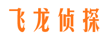 管城市侦探公司